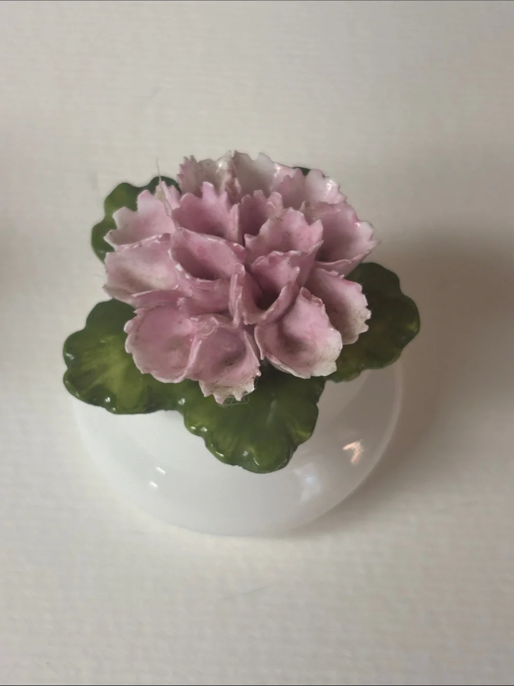england china delicate pink